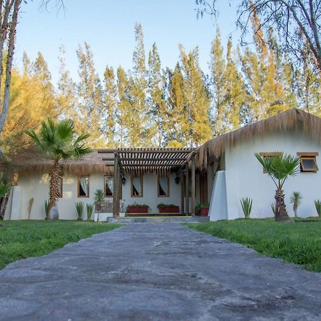 Cabanas La Huayca - Caja Los Andes Pica Exteriér fotografie