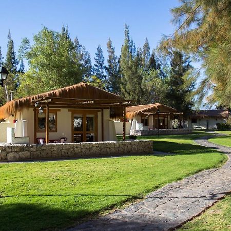 Cabanas La Huayca - Caja Los Andes Pica Exteriér fotografie