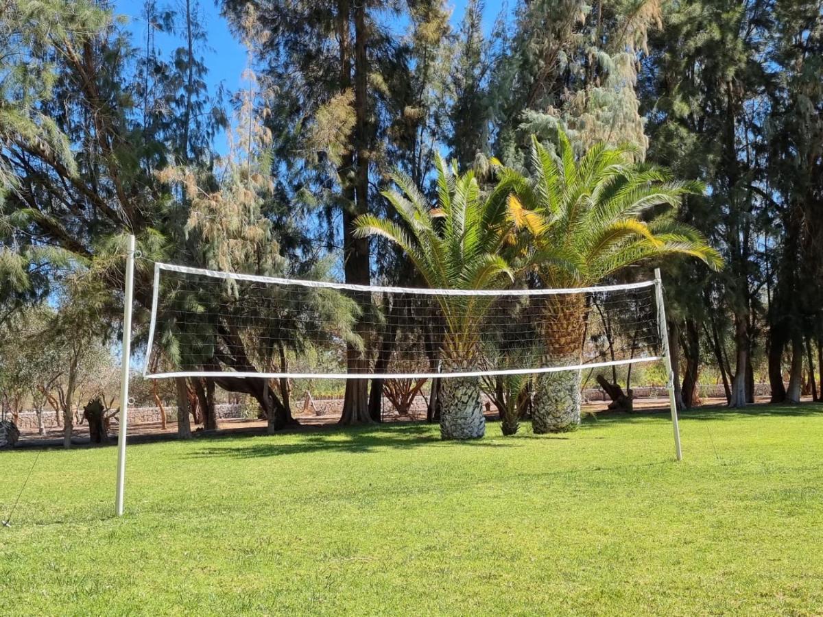 Cabanas La Huayca - Caja Los Andes Pica Exteriér fotografie